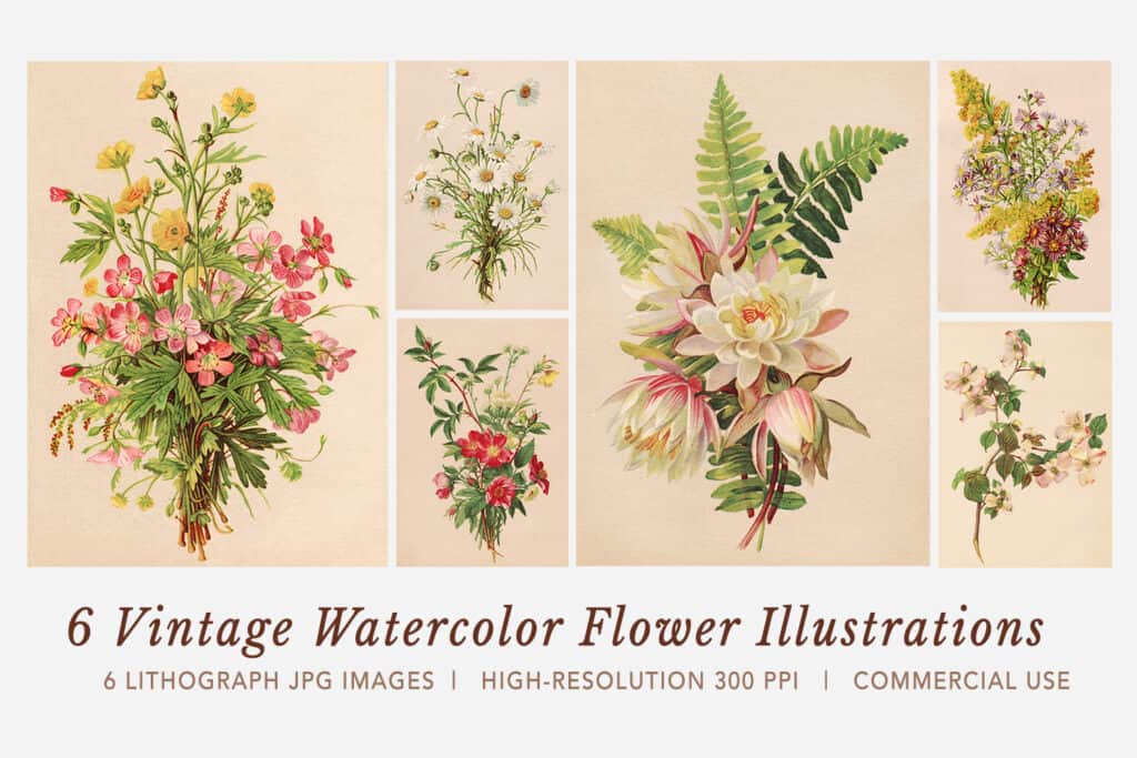 Watercolor Vintage Illustrations